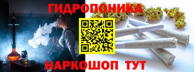 стафф Краснодар